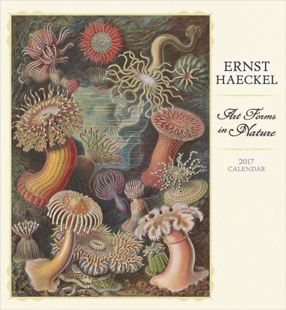 Ernst Haeckel : Art Forms in Nature 2017 Wall Calendar, Calendar Book