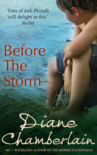 Before The Storm, Paperback / softback Book