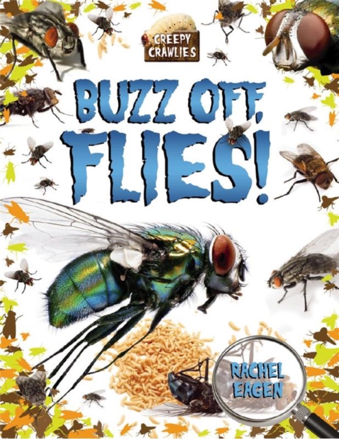 Buzz off Flies!, Paperback / softback Book