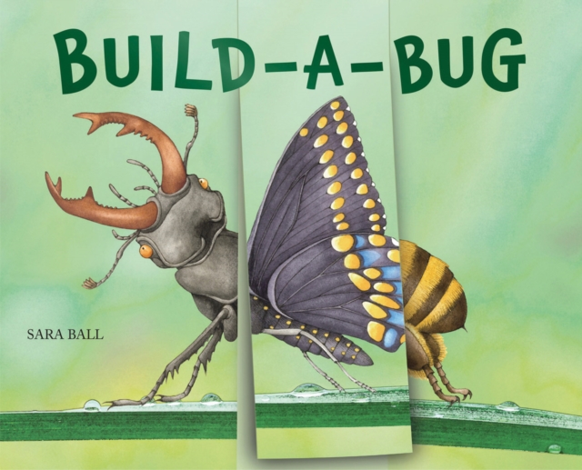 Build-a-Bug, Board book Book
