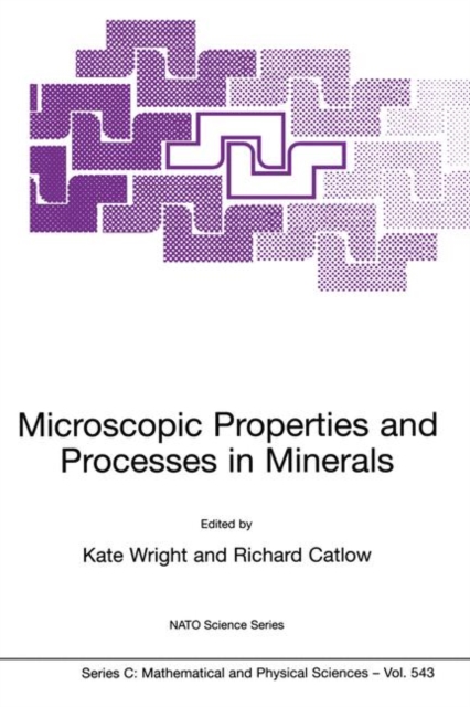 Microscopic Properties and Processes in Minerals, Paperback / softback Book