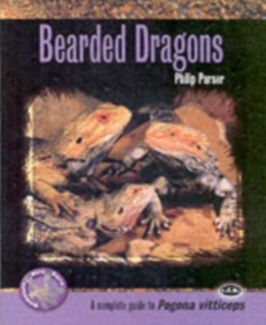 Bearded Dragons, Paperback / softback Book