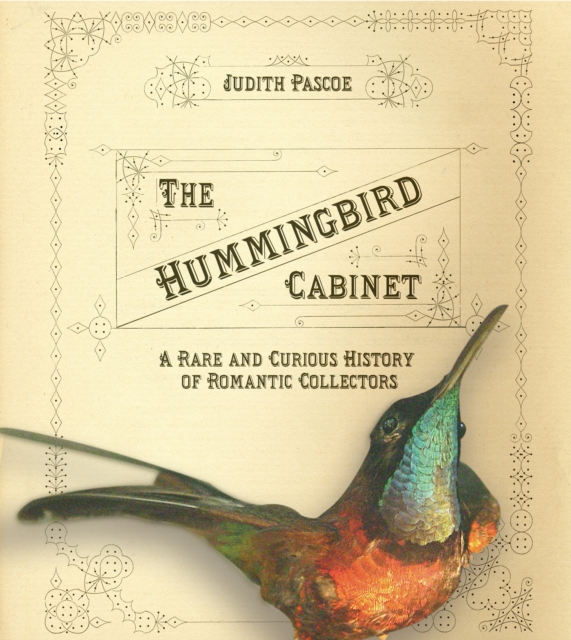 The Hummingbird Cabinet : A Rare and Curious History of Romantic Collectors, Hardback Book