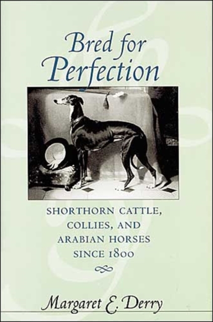 Bred for Perfection : Shorthorn Cattle, Collies, and Arabian Horses since 1800, Hardback Book