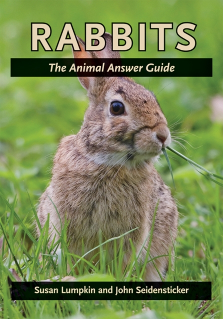 Rabbits : The Animal Answer Guide, Hardback Book