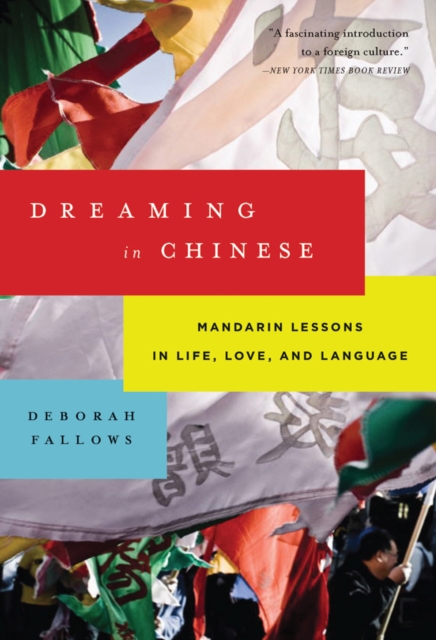Dreaming in Chinese, Paperback Book