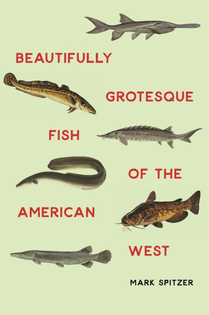 Beautifully Grotesque Fish of the American West, Hardback Book