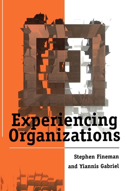 Experiencing Organizations, Paperback / softback Book