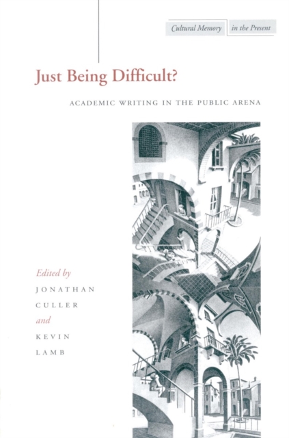 Just Being Difficult? : Academic Writing in the Public Arena, Paperback / softback Book