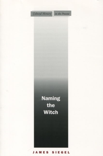 Naming the Witch, Paperback / softback Book