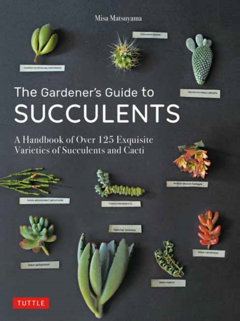 The Gardener's Guide to Succulents : A Handbook of Over 125 Exquisite Varieties of Succulents and Cacti, Hardback Book
