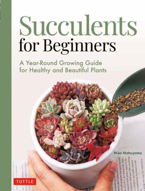Succulents for Beginners : A Year-Round Growing Guide for Healthy and Beautiful Plants (over 200 Photos and Illustrations), Paperback / softback Book