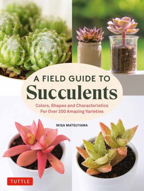 A Field Guide to Succulents : forColors, Shapes and Characteristics for Over 200 Amazing Varieties, Hardback Book