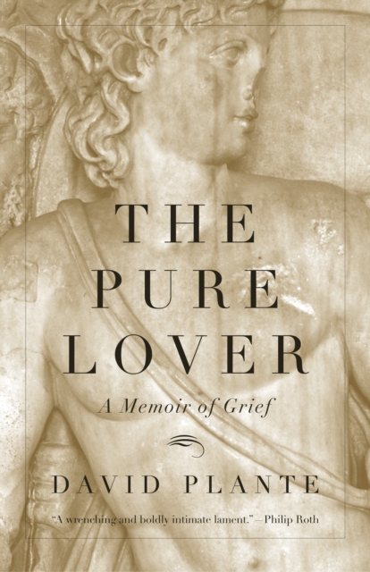 The Pure Lover : A Memoir of Grief, Paperback / softback Book