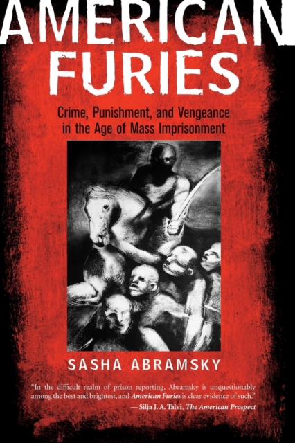 American Furies : Crime, Punishment, and Vengeance in the Age of Mass Imprisonment, Paperback / softback Book
