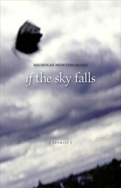 If the Sky Falls : Stories, EPUB eBook