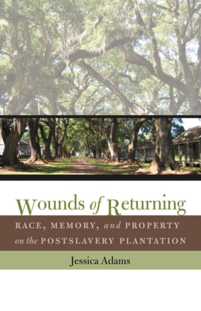 Wounds of Returning : Race, Memory, and Property on the Postslavery Plantation, Paperback / softback Book