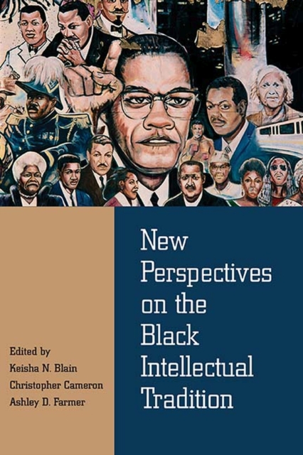 New Perspectives on the Black Intellectual Tradition, Paperback / softback Book