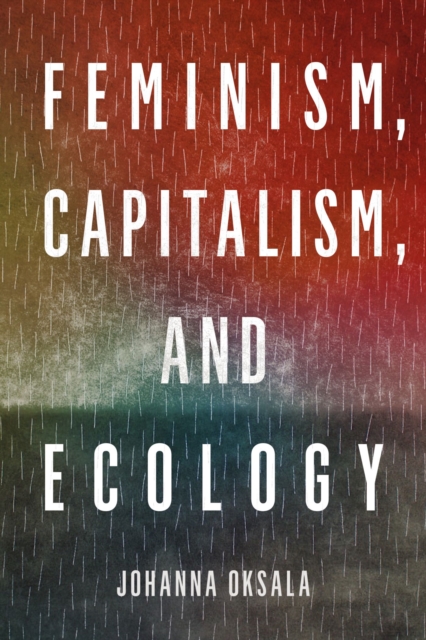 Feminism, Capitalism, and Ecology, Hardback Book