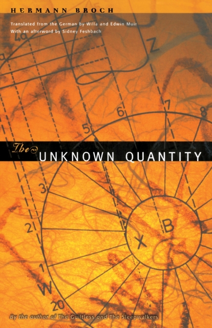 The Unknown Quantity, Paperback / softback Book