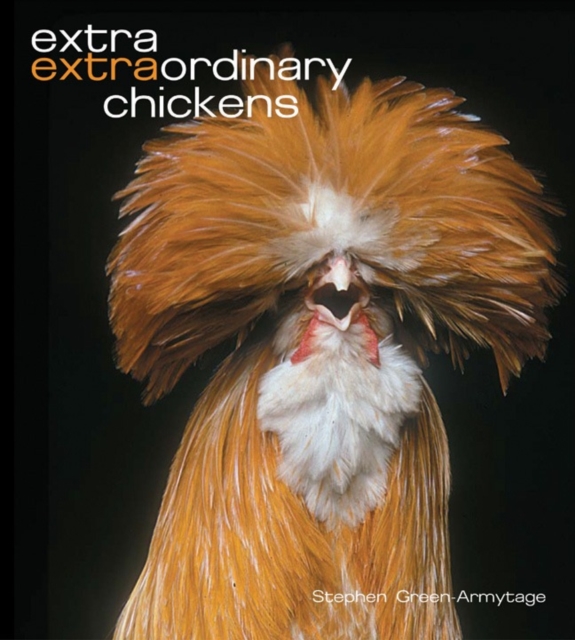 Extra Extraordinary Chickens, Hardback Book