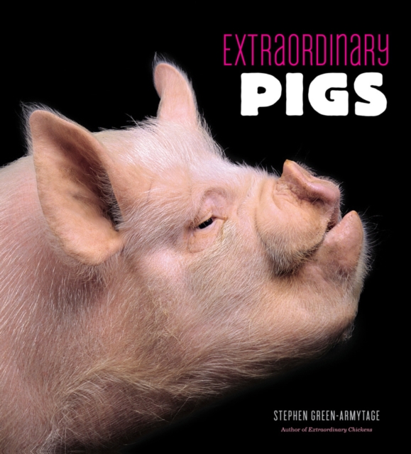 Extraordinary Pigs, Hardback Book