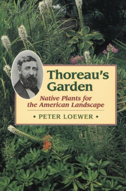 Thoreau's Garden : Native Plants for the American Landscape, Paperback Book