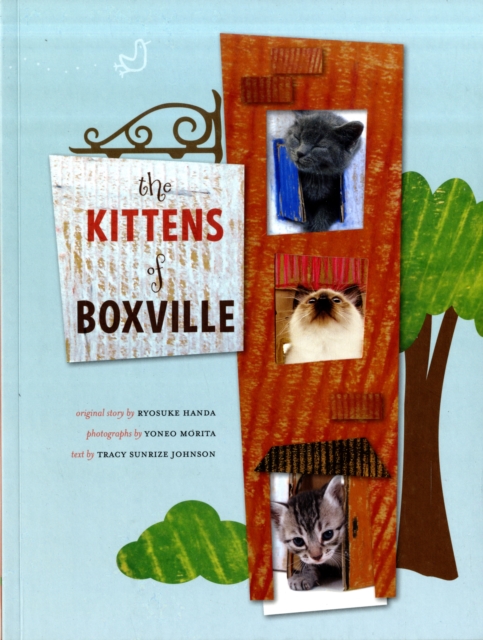 Kittens of Boxville, Paperback / softback Book