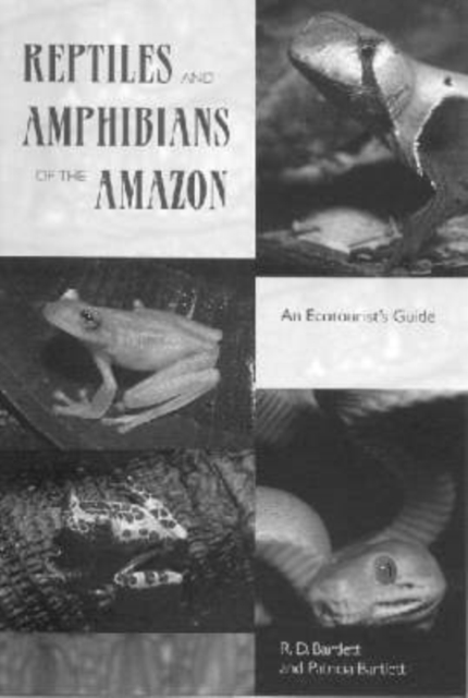 Reptiles and Amphibians of the Amazon : An Ecotourist's Guide, Paperback / softback Book
