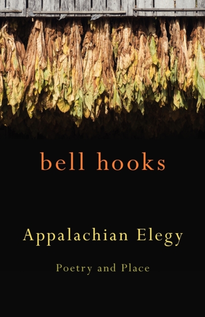 Appalachian Elegy : Poetry and Place, Paperback / softback Book