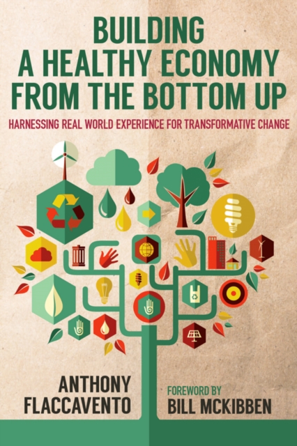Building a Healthy Economy from the Bottom Up : Harnessing Real-World Experience for Transformative Change, EPUB eBook