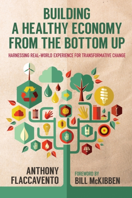 Building a Healthy Economy from the Bottom Up : Harnessing Real-World Experience for Transformative Change, Paperback / softback Book