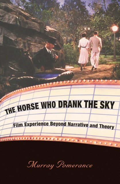 The Horse Who Drank the Sky : Film Experience Beyond Narrative and Theory, Hardback Book