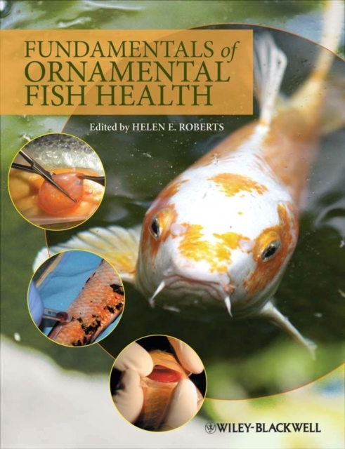 Fundamentals of Ornamental Fish Health, PDF eBook