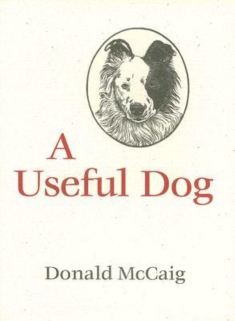 A Useful Dog, Hardback Book