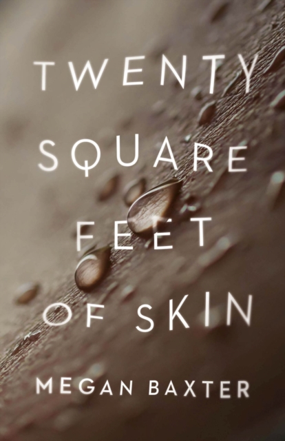 Twenty Square Feet of Skin, Paperback / softback Book