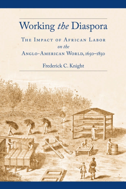 Working the Diaspora : The Impact of African Labor on the Anglo-American World, 1650-1850, Hardback Book