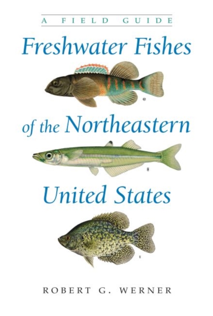 Freshwater Fishes of the Northeastern United States : A Field Guide, Hardback Book