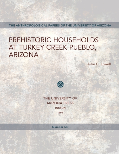 Prehistoric Households at Turkey Creek Pueblo, Arizona, Paperback / softback Book