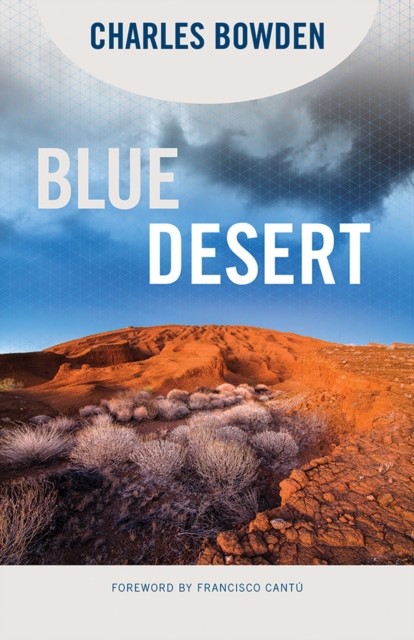 Blue Desert, Paperback / softback Book