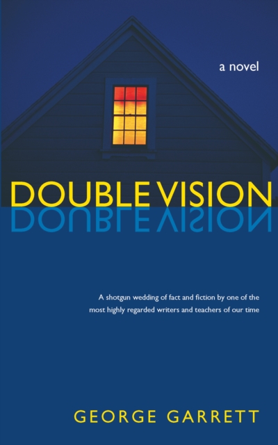 Double Vision : A Novel, EPUB eBook