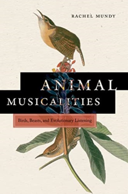 Animal Musicalities : Birds, Beasts, and Evolutionary Listening, Paperback / softback Book