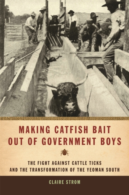Making Catfish Bait Out of Government Boys : The Fight Against Cattle Ticks and the Transformation of the Yeoman South, Hardback Book