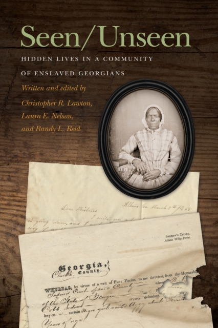Seen/Unseen : Hidden Lives in a Community of Enslaved Georgians, PDF eBook