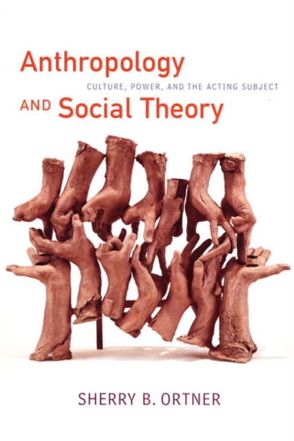 Anthropology and Social Theory : Culture, Power, and the Acting Subject, Hardback Book