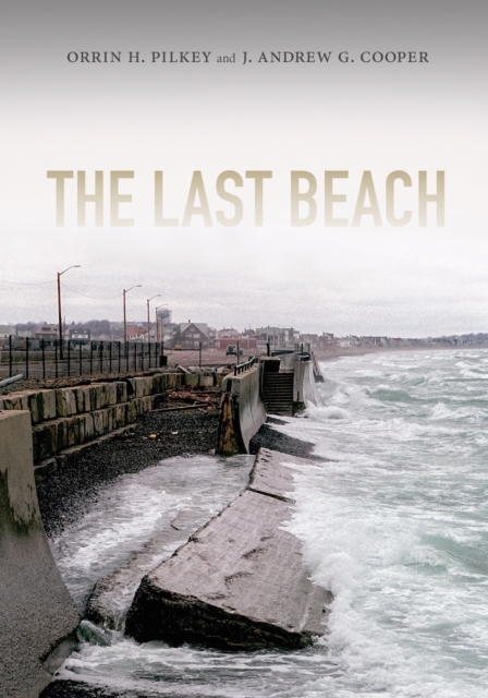 The Last Beach, PDF eBook