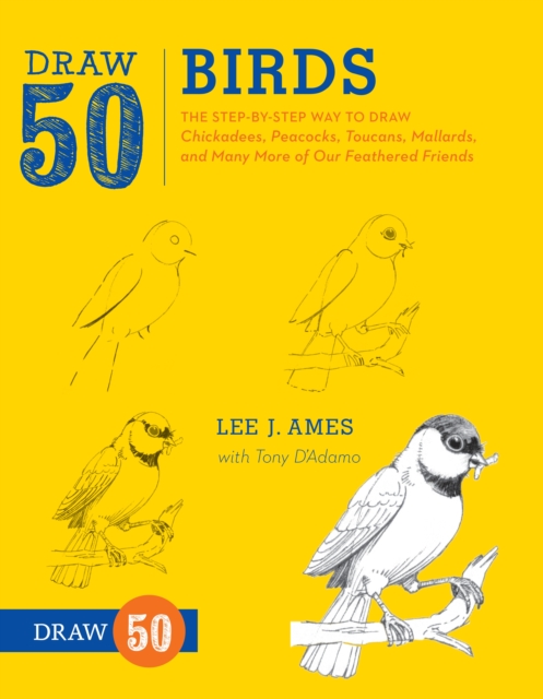Draw 50 Birds, Paperback / softback Book
