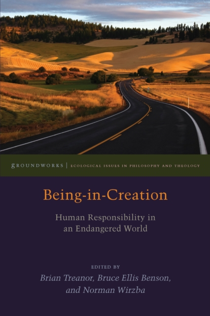 Being-in-Creation : Human Responsibility in an Endangered World, Hardback Book