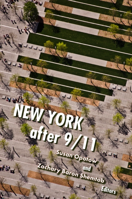 New York After 9/11, EPUB eBook
