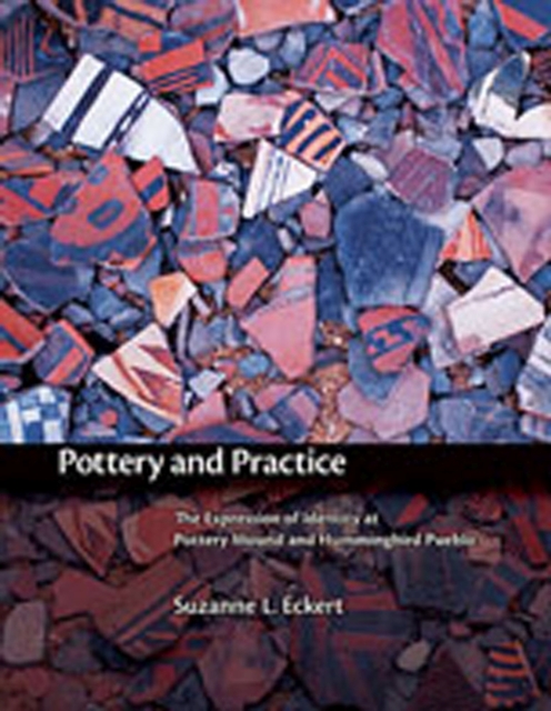 Pottery and Practice : The Expression of Identity at Pottery Mound and Hummingbird Pueblo, Hardback Book